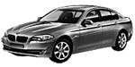 BMW F10 C12D8 Fault Code